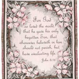 JOHN 3:16