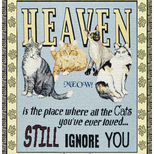 HEAVEN IS THE PLACE WHERE ALL THE CATS YOU'VE EVER LOVED...STILL IGNORE YOU